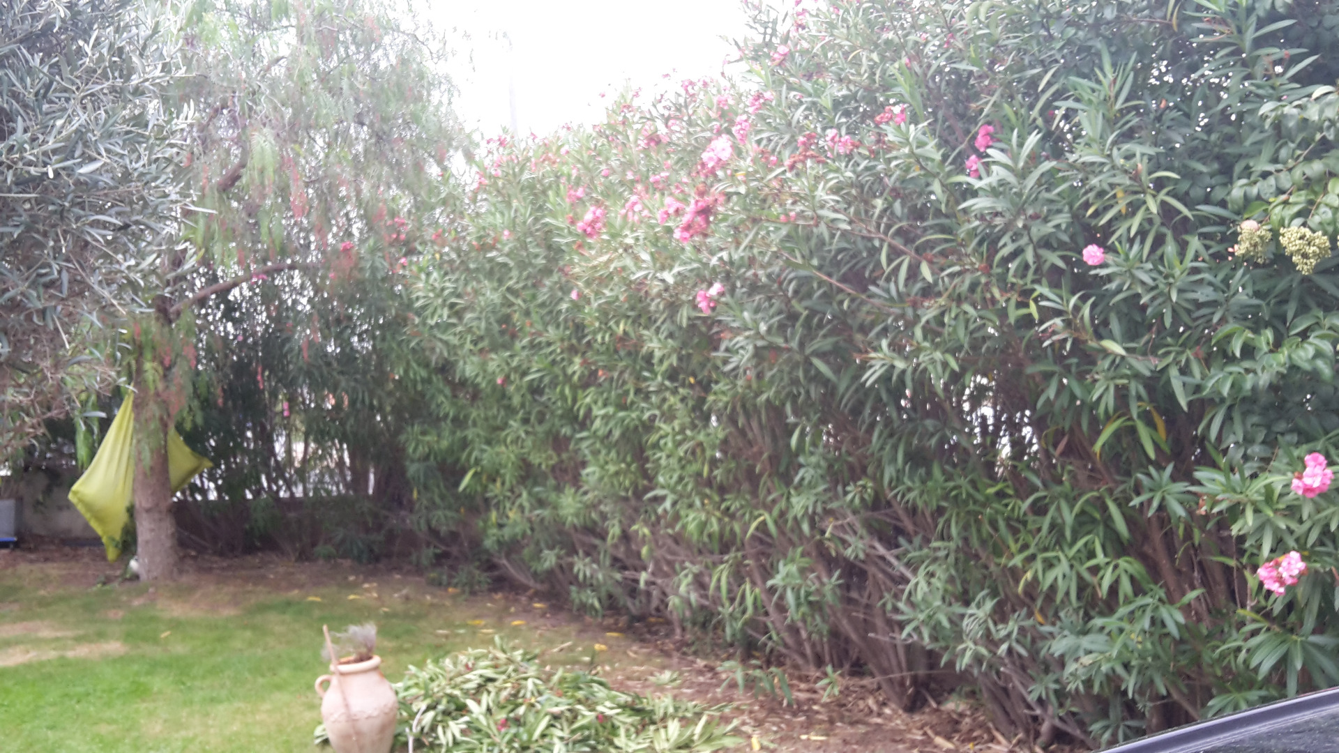 Entretien de jardin